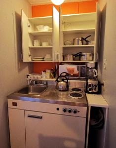 蒙特朗布朗Motel Tremblant的小厨房配有炉灶和水槽