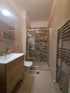 塞萨洛尼基Ellis Apartments的带淋浴、盥洗盆和卫生间的浴室