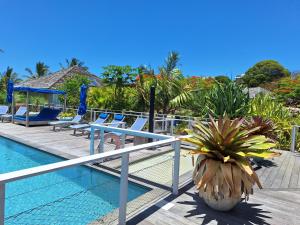 Beach House Lodge的一个带游泳池、椅子和棕榈树的度假村
