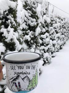 马夫罗沃Petar Apartment的一杯酒,一边在雪中看到你在山里