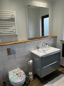 都柏林Blush Jungle的一间带水槽、卫生间和镜子的浴室