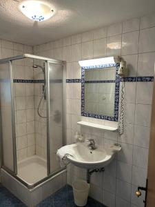 普鲁茨奥地利海斯汽车旅馆的带淋浴、盥洗盆和镜子的浴室