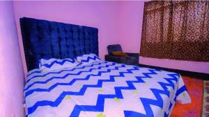 姆万扎Bright Backpackers home stay的一间卧室配有一张带蓝色和白色棉被的床