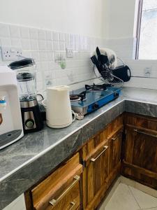 蒙巴萨Moraa’s Home的厨房柜台配有炉灶和搅拌机