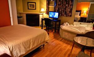 蒙特朗布朗Motel Tremblant的一间卧室配有一张床、一个浴缸和一台电视。