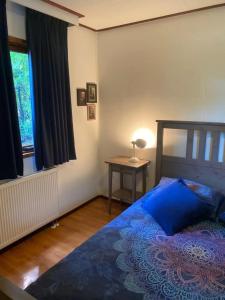 皮滕Chalet Rust-ique的一间卧室配有一张蓝色的床、一张桌子和一个窗户。