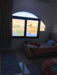阿斯旺Shipa's nubian house的一间设有窗户的房间和一张位于房间的床
