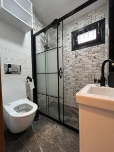 萨卡里亚DOA Sapanca Tiny House的一间带卫生间和水槽的浴室