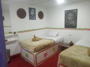 卢克索peace garden hostel & camp的一间设有两张床的房间,床上放着一只狗