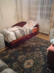 VidgiriaiSodyba Skardupiai的一间卧室配有一张床和地毯