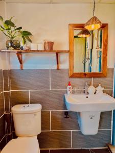 富国TỊNH House Phú Quốc的一间带卫生间、水槽和镜子的浴室