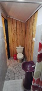 蒙泰韦尔德哥斯达黎加Mora's Place B&B的一间带卫生间和水槽的小浴室