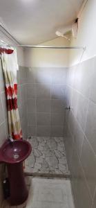 蒙泰韦尔德哥斯达黎加Mora's Place B&B的一间带水槽和淋浴的小浴室
