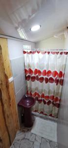 蒙泰韦尔德哥斯达黎加Mora's Place B&B的浴室设有红色和白色的淋浴帘