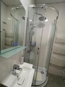 格拉茨JS Design Apartment的一间带玻璃淋浴和水槽的浴室