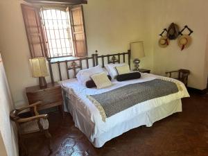 危地马拉安地瓜Eternal Spring的一间卧室配有一张大床和两个枕头