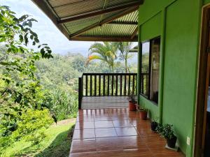 图里亚尔瓦Bella Vista Guest house的绿色房子,设有种植了盆栽植物的阳台