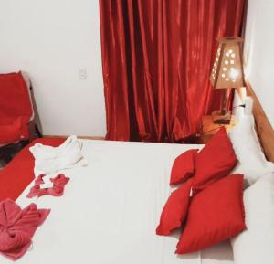 伊瓜苏港Hostel Damaris的一间卧室配有红色和白色枕头的床