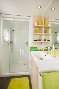 Rijnsburg瓦坎提帕寇宁霍假日公园的带淋浴和白色盥洗盆的浴室