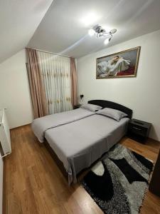 博尔沙Casa Danci Centru的一间卧室设有一张大床和一个窗户。