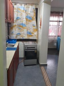 坎帕拉Ella Apartment Albert Cook Road的厨房配有炉灶、水槽和窗帘