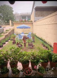 穆里Rashk e Qamar的庭院设有椅子、雨伞和盆栽植物