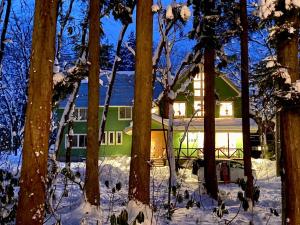 白马村Snow Horizon的雪中绿树成荫的房子