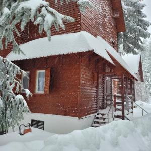 沃尔托普VILA DARIA的木屋,被雪覆盖在树林中
