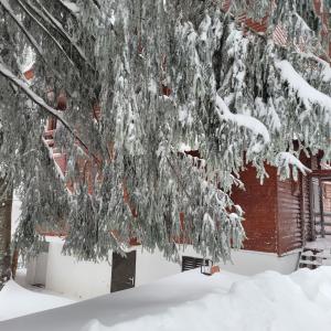 沃尔托普VILA DARIA的一座建筑物旁的雪覆盖着的树
