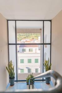 费雷列斯罗阿尔公寓酒店的前方有两盆植物的窗户