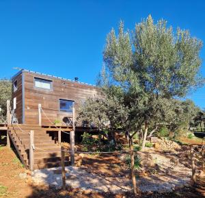 楼尔Tiny House Loule Algarve的山坡上树屋