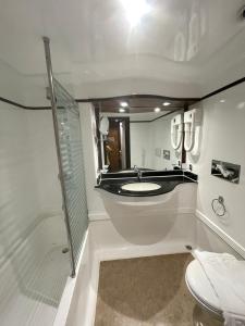 卢克索Orient MS Grand Rose的一间带水槽、淋浴和卫生间的浴室