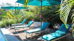 塔马林多Tee-K Lodge Tamarindo的一组椅子和遮阳伞,位于游泳池旁