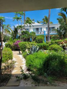 格雷斯湾西博恩海滩酒店 的享有棕榈树和灌木丛的度假胜地美景