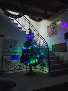布哈拉Old House Hotel的楼梯上一棵带灯的圣诞树