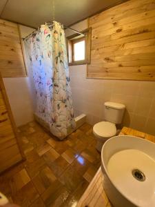 富特罗诺CABAÑAS RUCA MALAL的一间带卫生间和淋浴帘的浴室