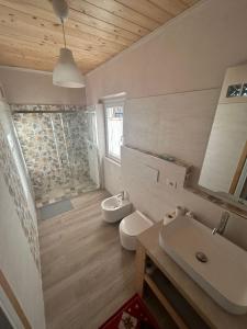 格拉达拉La Casa di Mimmo的一间带水槽、卫生间和淋浴的浴室