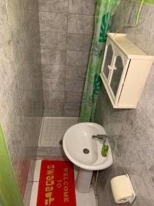 萨莱比梅Logement avec parking à proximité de l’aéroport的一间带水槽和卫生间的小浴室