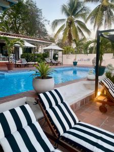 孔塔多拉Boutique Beachfront Hotel on Isla Contadora的游泳池畔的2把躺椅