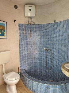 马约城Torre Sabina的浴室配有蓝色瓷砖淋浴和卫生间。