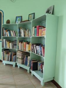马约城Torre Sabina的两个书架,里面装满了书
