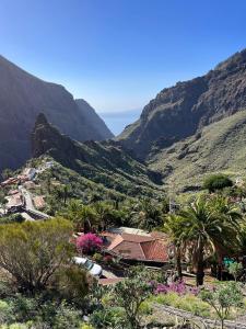 马斯卡Live Masca - Estudio casas morrocatana Tenerife的享有棕榈树和山脉山谷的美景