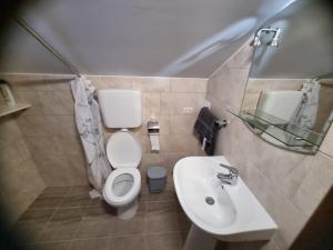 博尔沙CABANA MERISORULUI的一间带卫生间和水槽的浴室