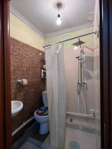 埃里温Vahe’s family guests house的带淋浴、卫生间和盥洗盆的浴室