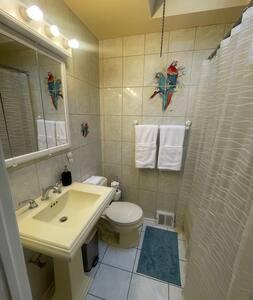 费城Nolibs Green Haven Sleeps 12的一间带水槽、卫生间和淋浴的浴室