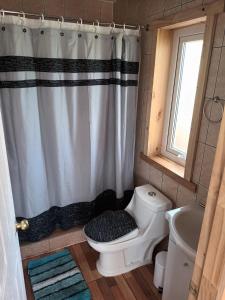 科伊艾科Ventisca Sur的一间带卫生间和淋浴帘的浴室