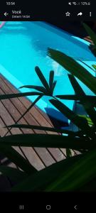 邦比尼亚斯Recanto dos pássaros的享有种植了植物的蓝色游泳池的景色