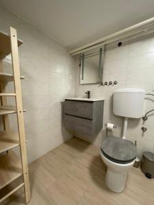 卢布尔雅那Laibach Suite的一间带卫生间和水槽的浴室