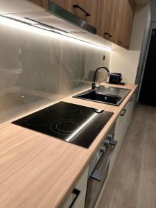 阿格里尼翁Olive-Luxury apartment in agrinio的厨房配有水槽和炉灶