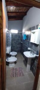 科洛尼亚卡洛斯佩莱格里尼Cabaña Nde Roga的浴室配有盥洗盆、卫生间和盥洗盆。